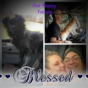 Meet your Posher, Kelly